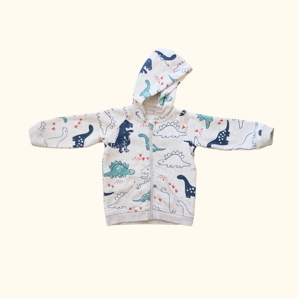 Grey Hoodie Jacket with Dinosaurs