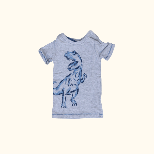 Grey T-Shirt with Dinosaur Print