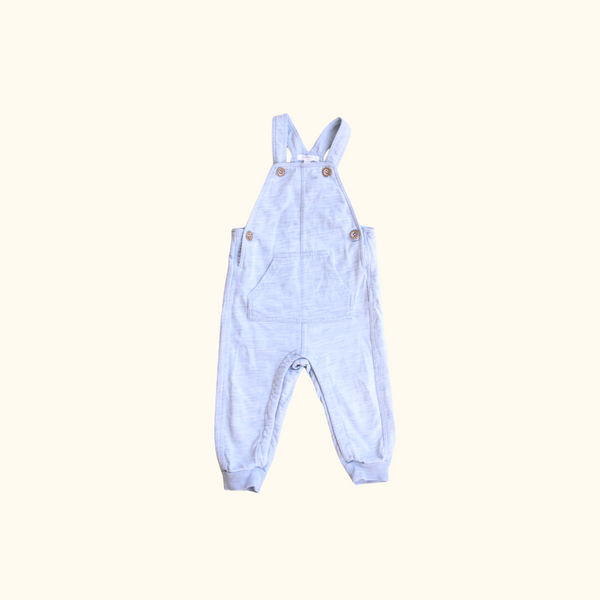 Light Blue Overalls