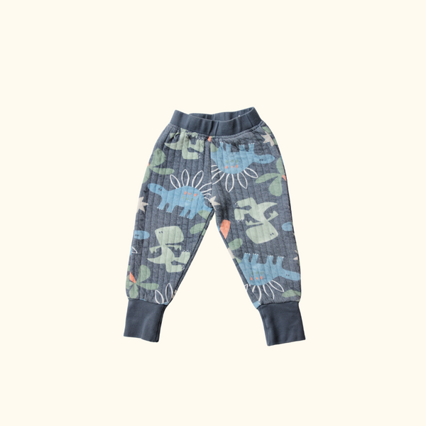 Joggers with Dinosaur Print