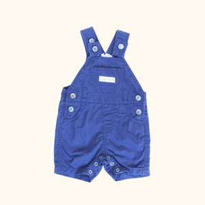 Blue Overalls