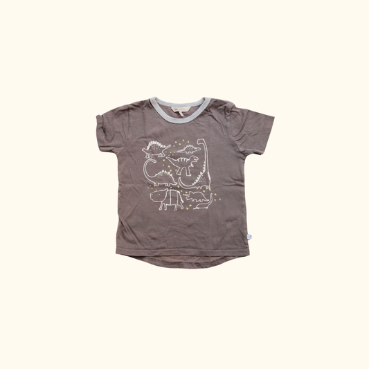 Grey T-shirt with Dinosaur Graphic