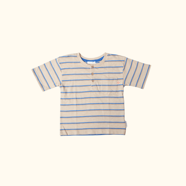 Brown and Blue Striped Short Sleeve Tee