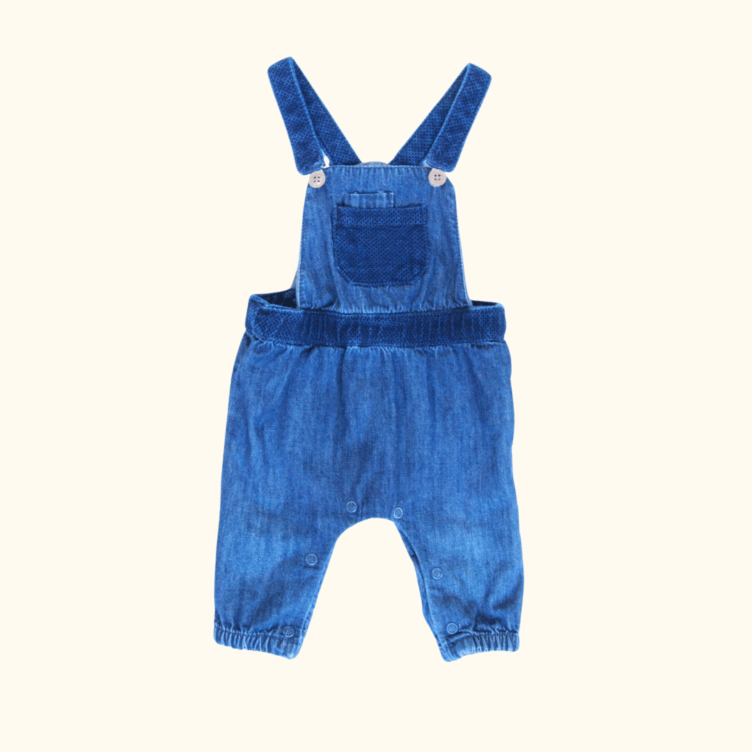 Blue Overalls