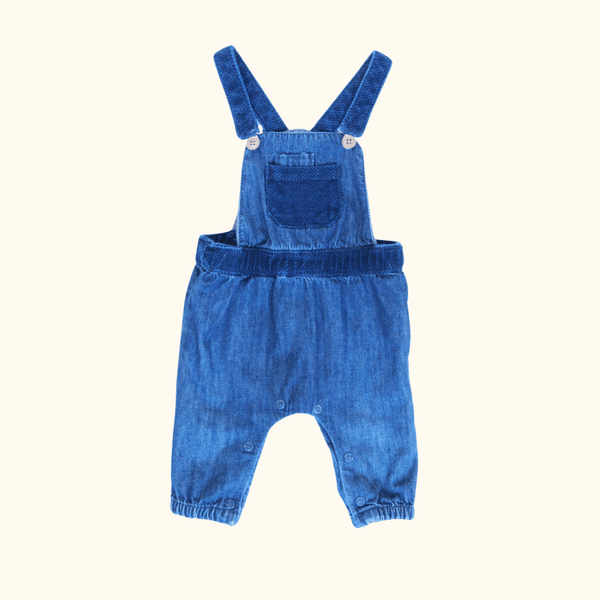 Blue Overalls