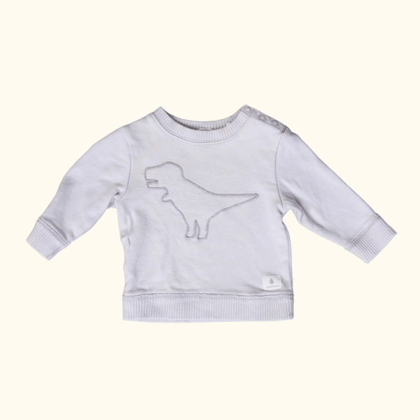 Light Grey Sweater with Dinosaur