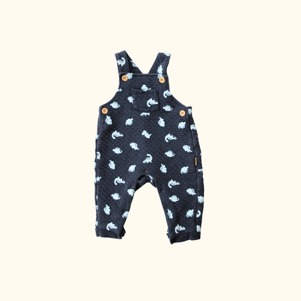 Blue Overalls with Dinosaur Print