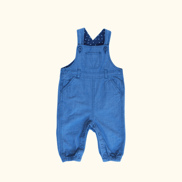 Blue Overalls