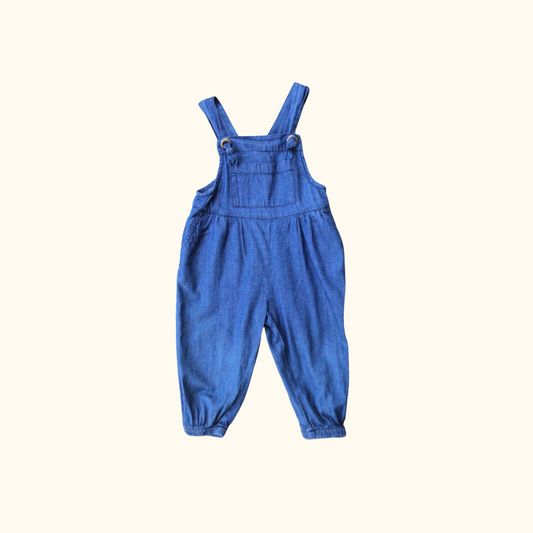 Denim Overalls