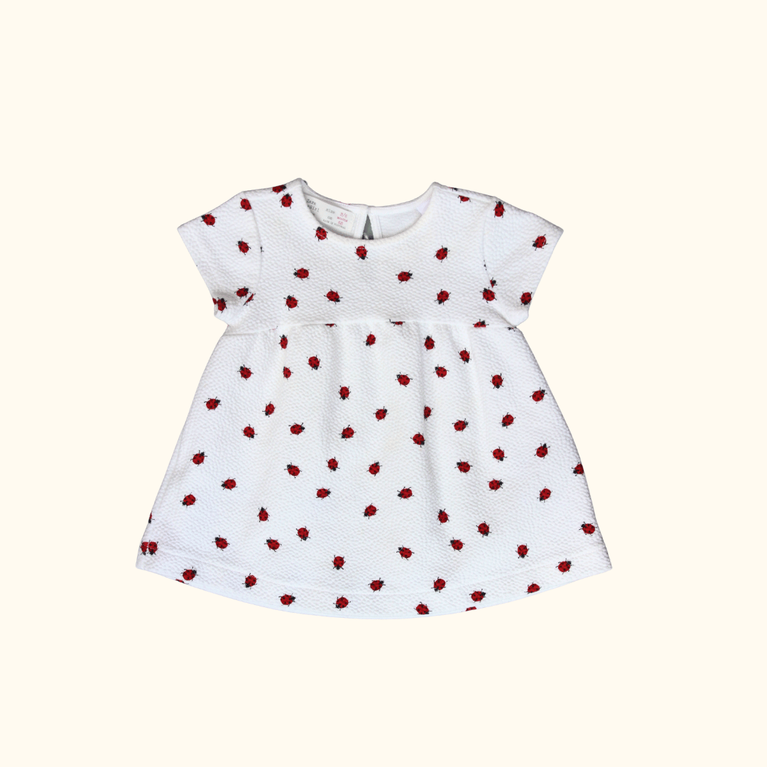 White Dress with Lady Bugs