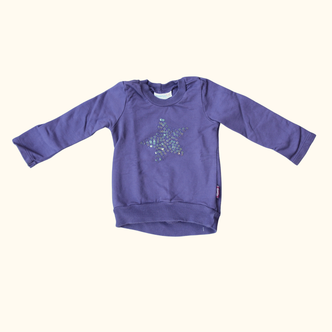 Purple Sweater