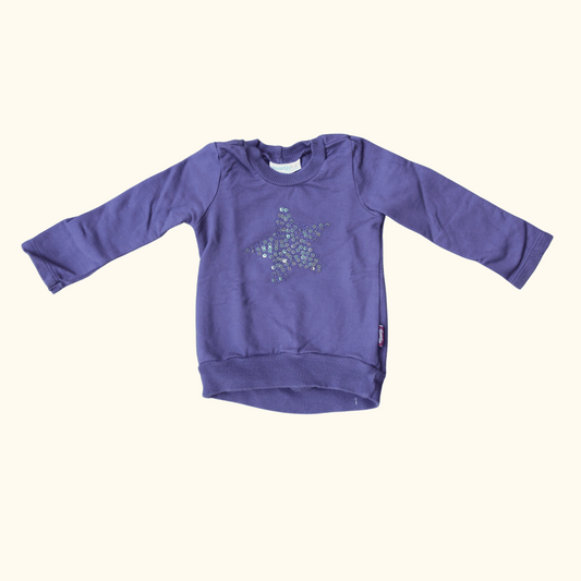 Purple Sweater