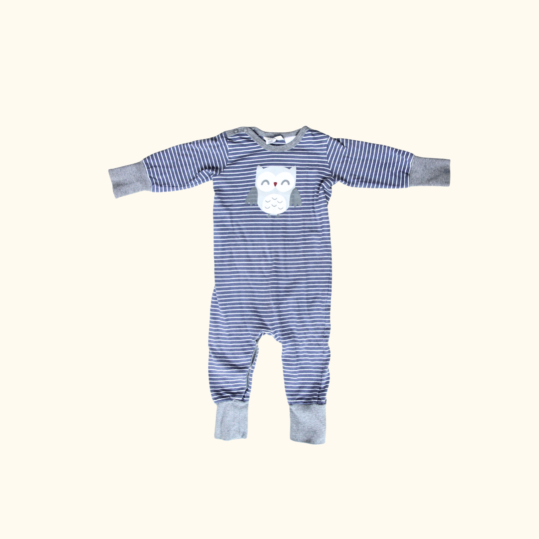 Blue Striped Onesie with Owl