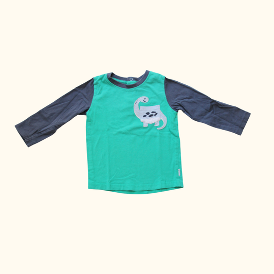 Green and Plue T-Shirt with Dinosaur