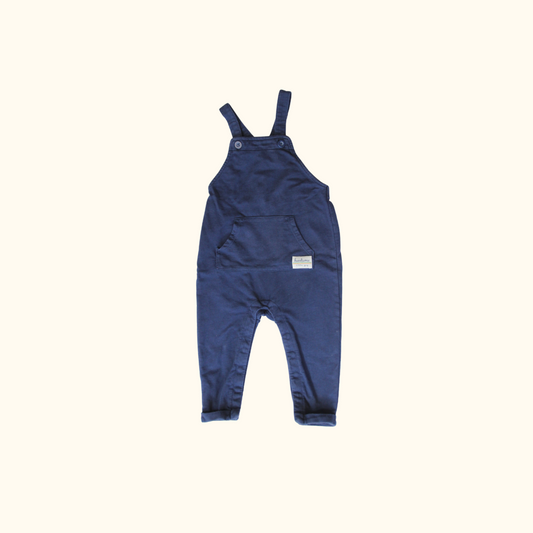 Blue Overalls