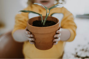 children hands holding a plant in a pot