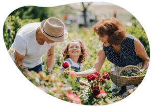 man, woman and girl picking roses and smiling